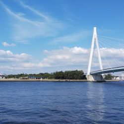 ベイトがたくさん！