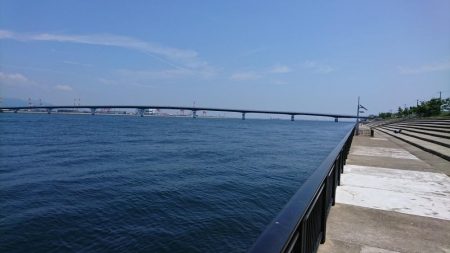 ツバス君、釣れてくれてありがとう。〜サゴシは手強い。