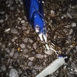 雨上がりに虹が♪……雨の日曜日も釣り座は満員御礼