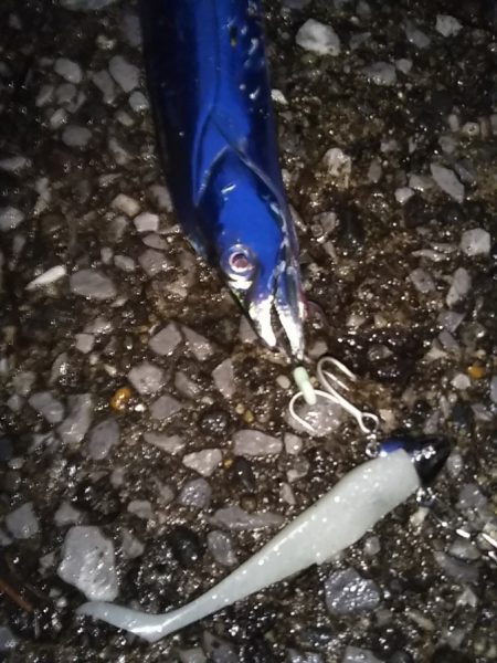 雨上がりに虹が♪……雨の日曜日も釣り座は満…