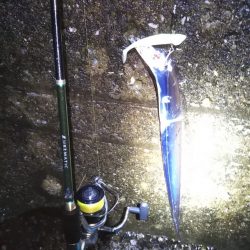 陸っぱりタチウオも，波高く雨で空いていて……