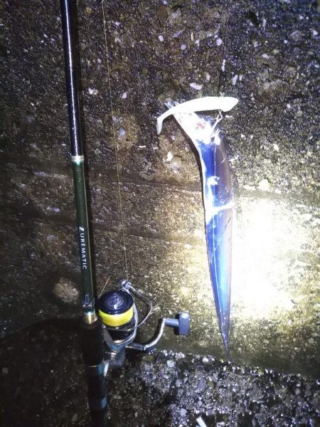 陸っぱりタチウオも，波高く雨で空いていて……