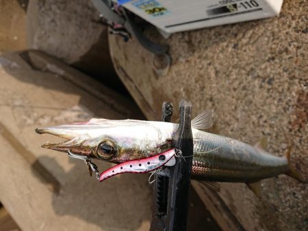 梅雨の合間の釣り日和