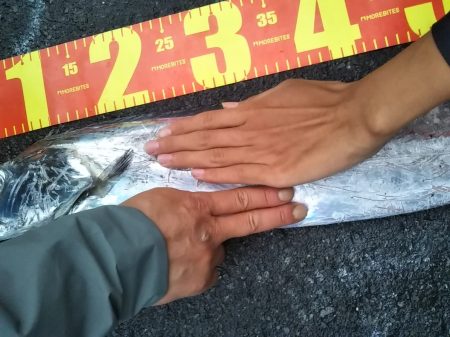 陸っぱりで超特大級ドラゴンをゲット！