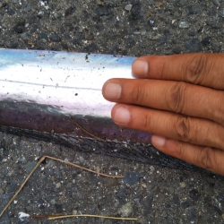 本日は時合い無し？？