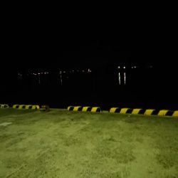 白イカエギング