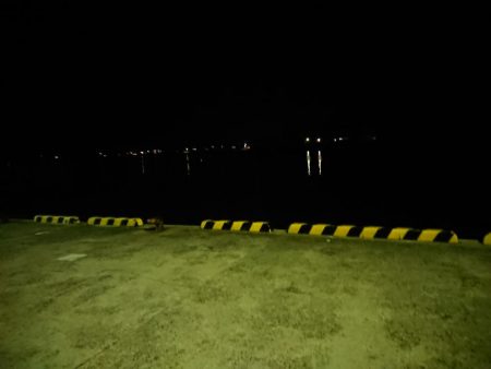 白イカエギング