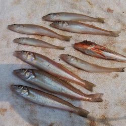 日ムラ激しい播磨新島のキス