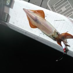 雨の中イカメタル