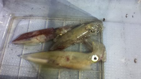 初の大検ゲット