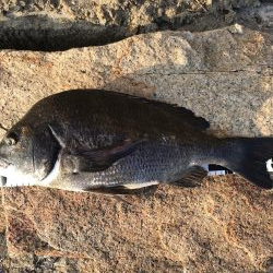 イチノ兄弟、釣果！