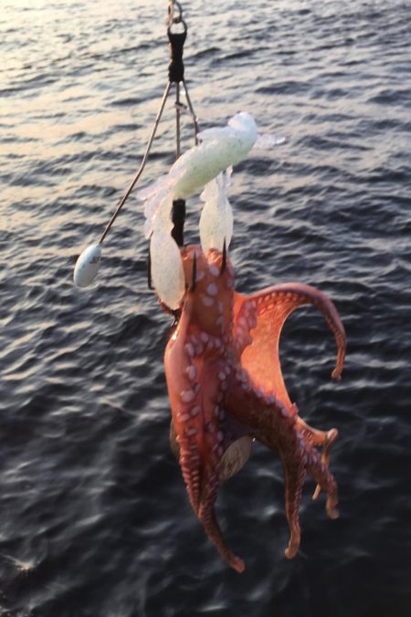 オクトパッシング