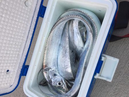 安定のタッチ〜