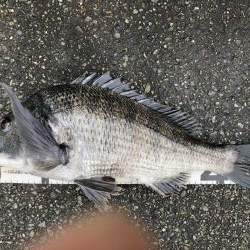 イチノ兄弟、釣果！