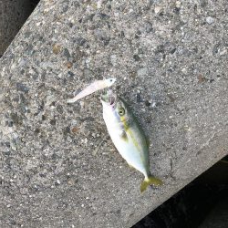 ワインドでも…