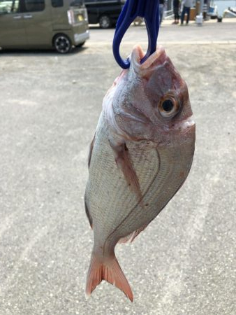 泉州丸さんで五目