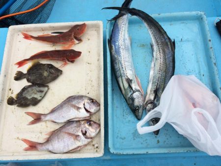 有田  よく釣れてます！