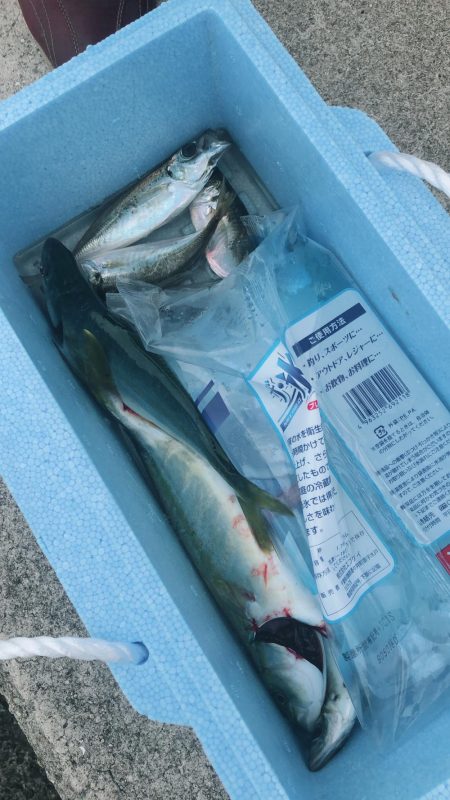 深日のち貝塚人工島