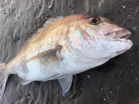 ウェーディング中まさかの…