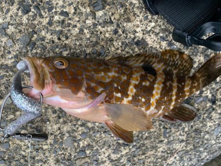 ライトロック〜