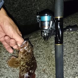 谷八木・メバリング