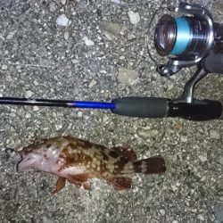 林崎漁港・メバルはお休み？