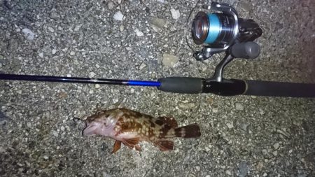 林崎漁港・メバルはお休み？