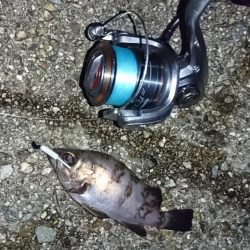 ショアジギで大物が…!?