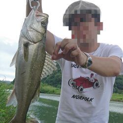 リバーシーバス