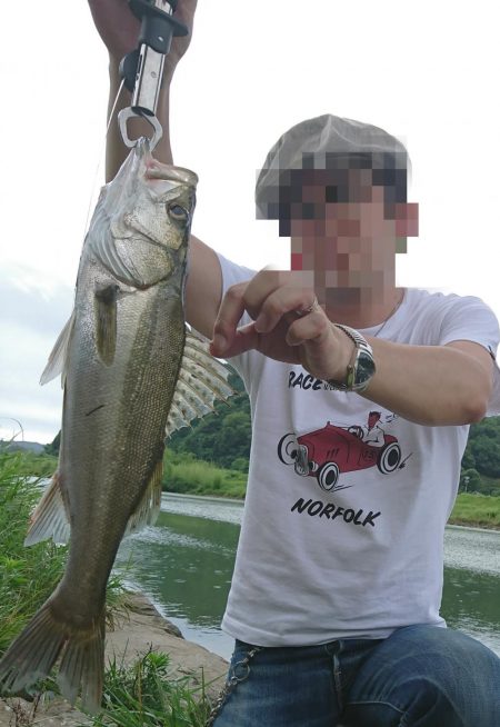 リバーシーバス