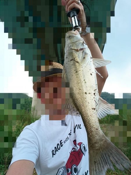 またリバーシーバス