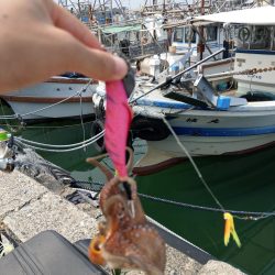 オクトパッシング