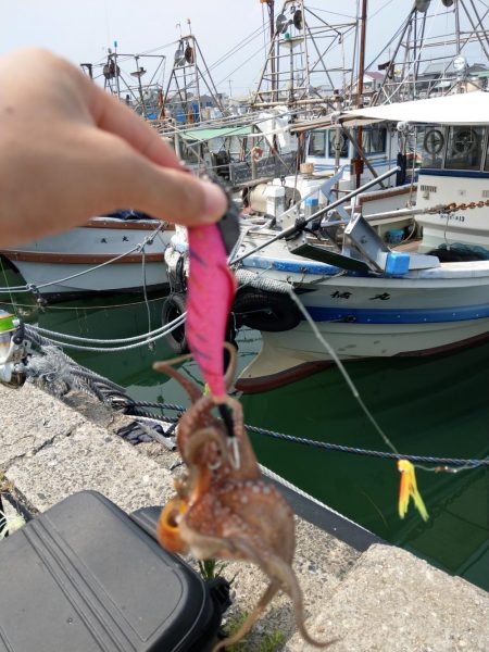 オクトパッシング