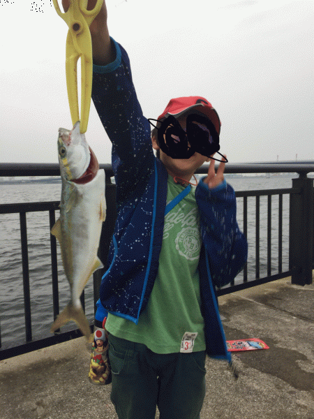 今年初タチウオ