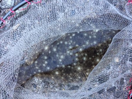 出勤前にちょっとだけよ