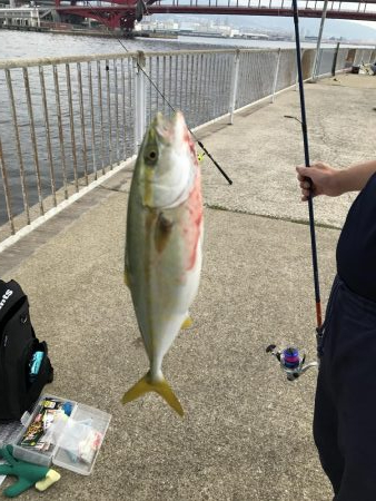 今日は渋かった〜けど