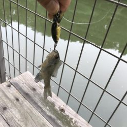 徒歩０分で釣り場