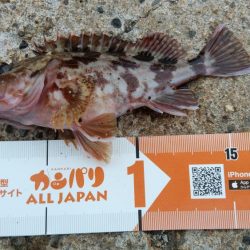 湯浅醤油を買いに行った序でに