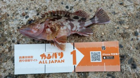 湯浅醤油を買いに行った序でに