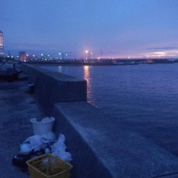 アジ情報を聞いて