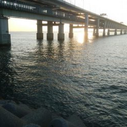 ジグサビキ メバリング