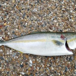 初めての場所でやっとサイズアップ