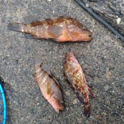 山代温泉旅行の帰りに