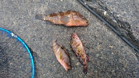 山代温泉旅行の帰りに