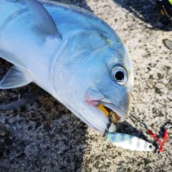 休みだから夕方にもお出掛け