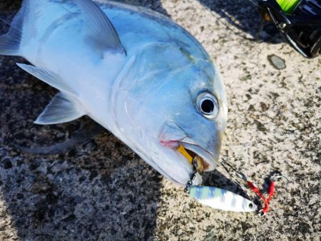 休みだから夕方にもお出掛け