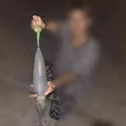 深夜エギング。