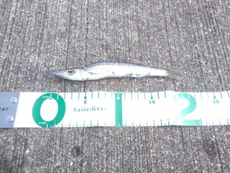 カマスラッシュ!