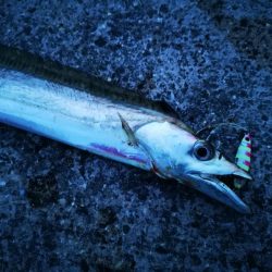 台風明けの強風でもなんとかね