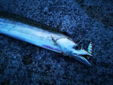 台風明けの強風でもなんとかね